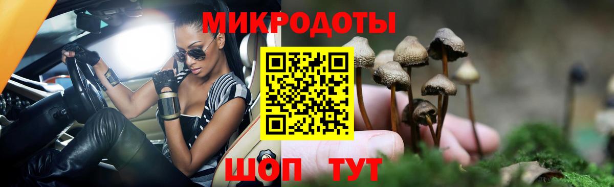 Электросталь  Галлюциногенные грибы Psilocybe  Вход с VPN 